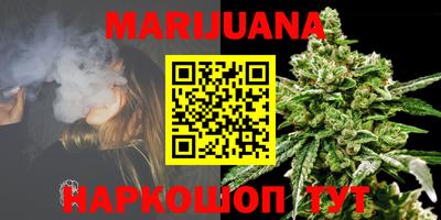 индика Рыбинск