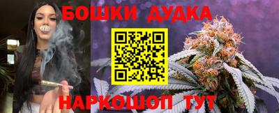 индика Рыбинск