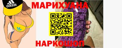 индика Рыбинск