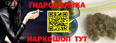 индика Рыбинск