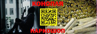 индика Рыбинск