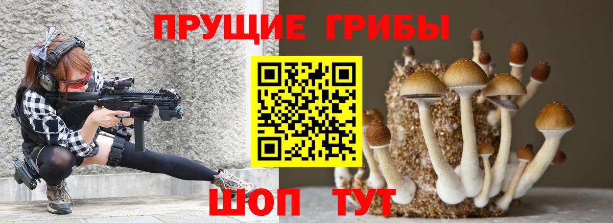Галлюциногенные грибы GOLDEN TEACHER  что такое   Подольск  Вход с VPN 